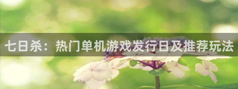 新宝GG子经理人杂志：七日杀：热门单机游戏发行日及推荐玩法