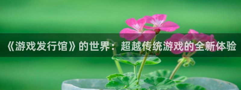 新宝GG官网登录注册账号是什么意思：《游戏发行馆》的世界：超越传统游戏的全新体验