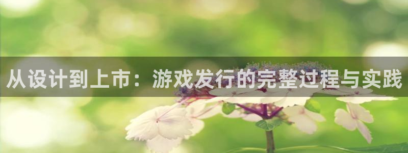 新宝GG电子商务有限公司怎么样知乎：从设计到上市：游戏发行的完整过程与实践