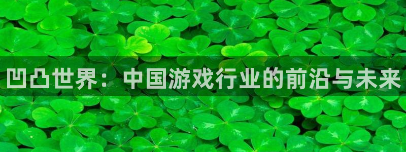 新宝GGgs：凹凸世界：中国游戏行业的前沿与未来