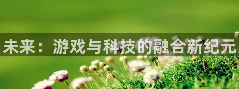 新宝GG图片：未来：游戏与科技的融合新纪元