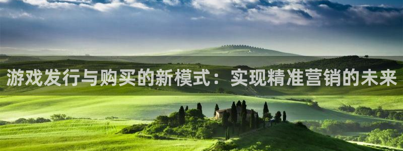 新宝GG子 到底怎么样：游戏发行与购买的新模式：实现精准营销的未来
