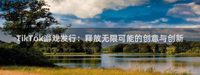 新宝GG官网平台代理条件是什么：TikTok游戏发行：释放无限可能的创意与创新