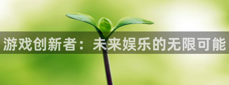 新宝GG子小说：游戏创新者：未来娱乐的无限可能