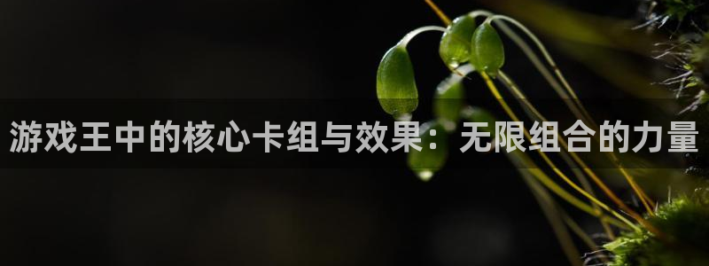 新宝GG子怎么来的：游戏王中的核心卡组与效果：无限组合的力量