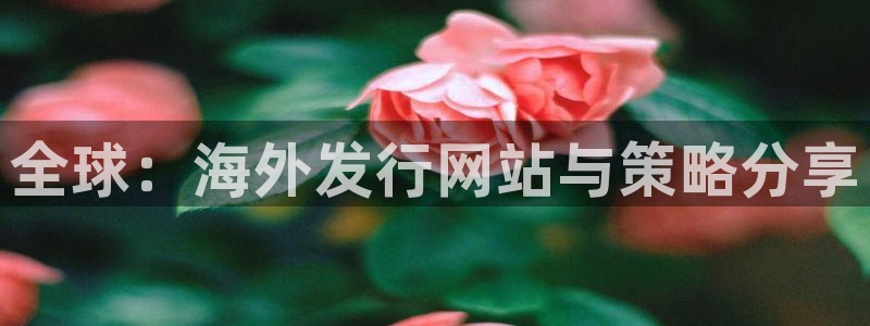 lvnces新宝GG衣服价格