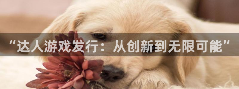 新宝GG官网奇趣腾讯分分彩