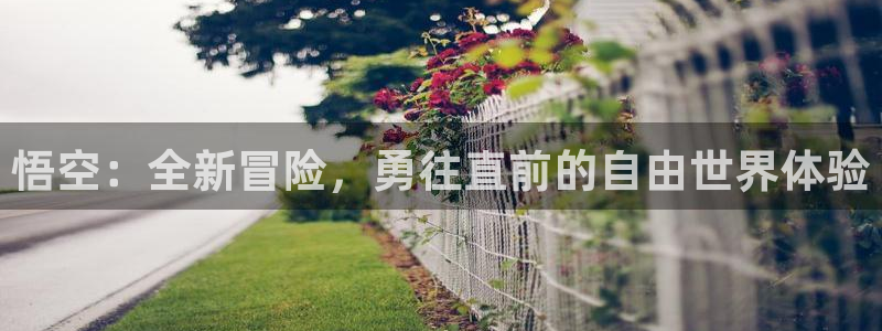 江苏新宝GG智得新材料