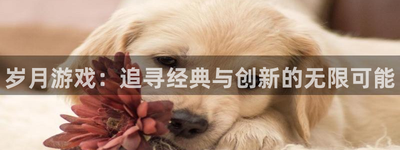 新宝GG电子科技怎么样
