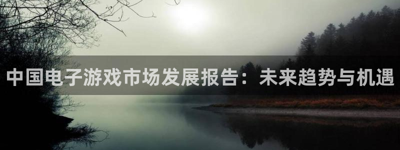 新宝GG官网平台代理条件是什么