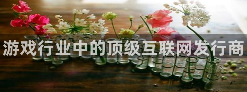 新宝GG智邦