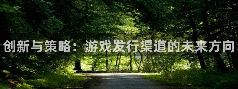 新宝GG技术有限公司招聘