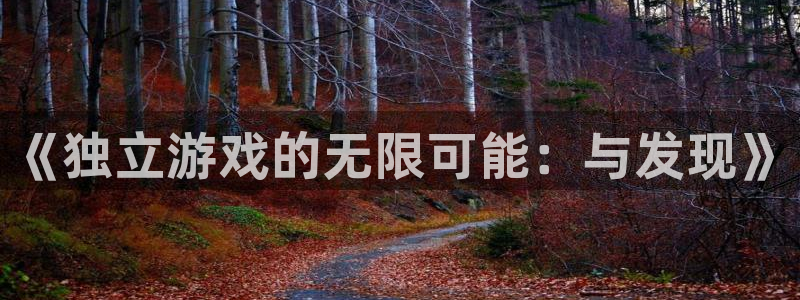 新宝GG官网平台代理条件是什么