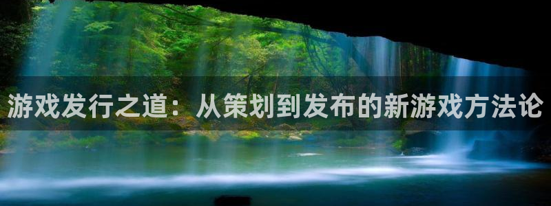 新宝GG官网登录注册失败：游戏发行之道：从策划到发布的新游戏方法论