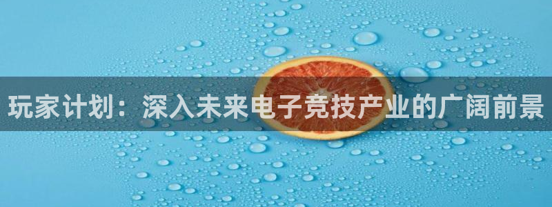 新宝GG官网登录注册账号是什么意思：玩家计划：深入未来电子竞技产业的广阔前景