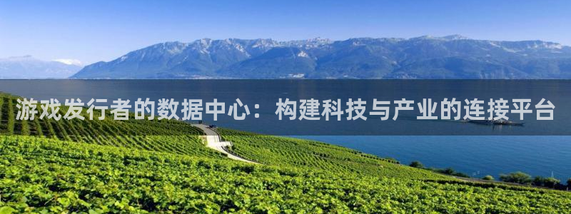 新宝GGlvnces是什么档次