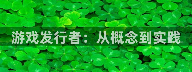 新宝GGlvnces是什么档次：游戏发行者：从概念到实践