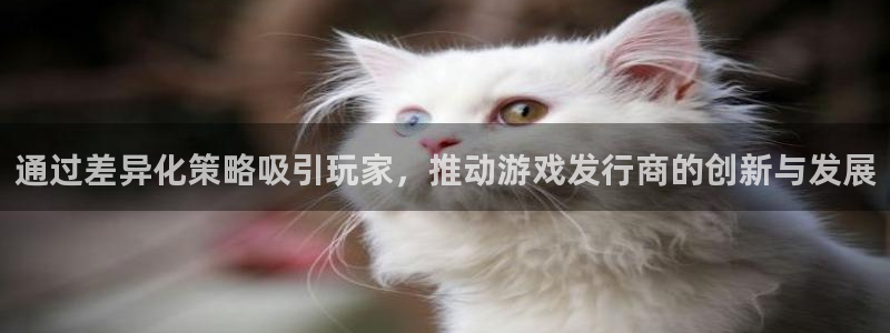 新宝GG官网的奇趣腾讯是真的吗还是假的