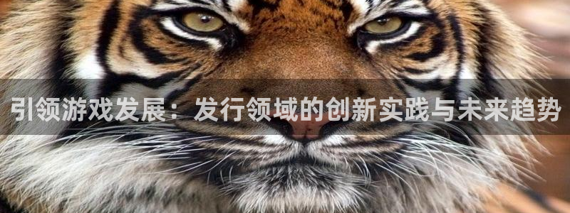 陕西新宝GG子文化创意干啥的