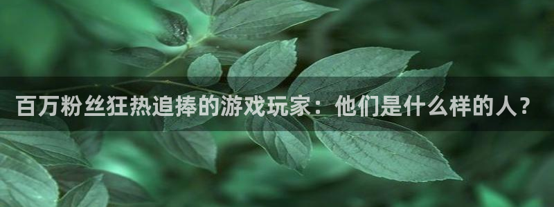新宝GG子经理人一共出了多少本：百万粉丝狂热追捧的游戏玩家：他们是什么样的人？