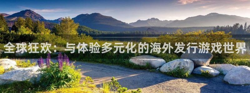 新宝GG子集团：全球狂欢：与体验多元化的海外发行游戏世界