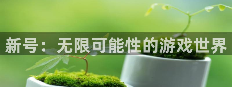 新宝GG子公司怎么样