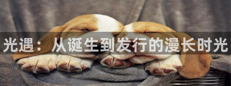 新宝GG官网客服招聘