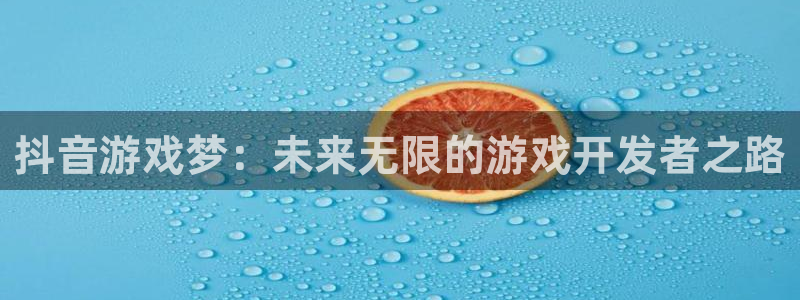 新宝GG集团公司怎么样