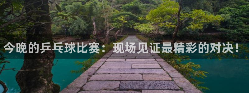 山猫nba在线直播：今晚的乒乓球比赛：现场见证最精彩的对决！