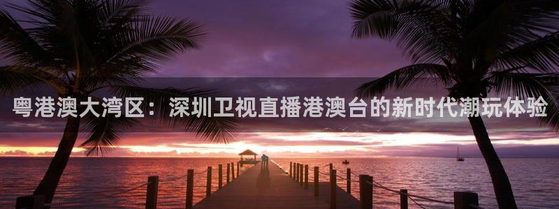 山猫tv篮球直播：粤港澳大湾区：深圳卫视直播港澳台的新时代潮玩体验