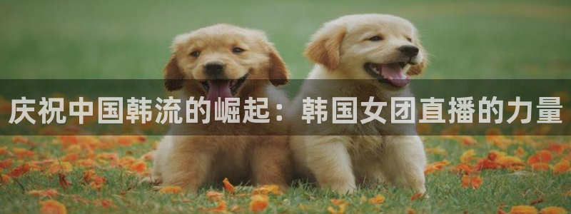 山猫篮球体育直播：庆祝中国韩流的崛起：韩国女团直播的力量