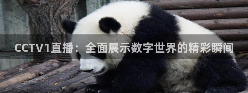 山猫足球直播最新赛程：CCTV1直播：全面展示数字世界的精彩瞬间