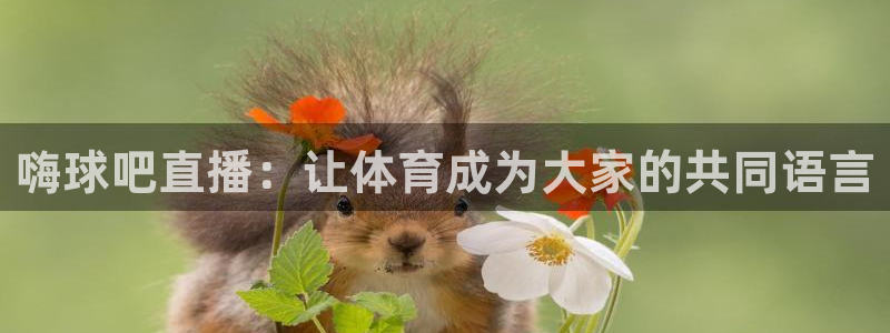 山猫直播足球：嗨球吧直播：让体育成为大家的共同语言