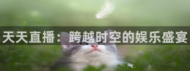 山猫体育直播免费观看高清：天天直播：跨越时空的娱乐盛宴
