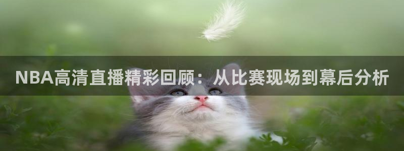 山猫直播在线观看：NBA高清直播精彩回顾：从比赛现场到幕后分析
