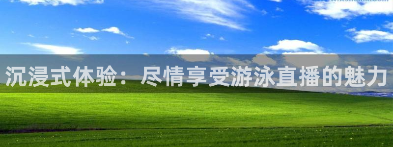 山猫足球直播间：沉浸式体验：尽情享受游泳直播的魅力