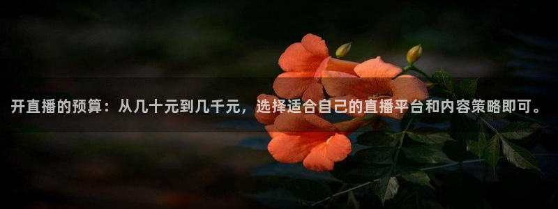 山猫体育下载：开直播的预算：从几十元到几千元，选择适合自己的直播平台和内容策略即可。