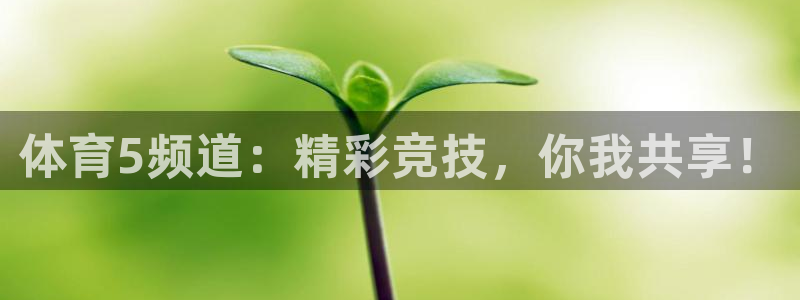 山猫足球赛事直播在线观看视频：体育5频道：精彩竞技，你我共享！