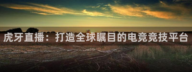 山猫足球直播在线观看免费：虎牙直播：打造全球瞩目的电竞竞技平台